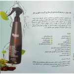 اسپری ترمیم کننده فوری مو 16 کاره مرلین