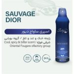 اسپری بدن ساواج دیور ستیو 200 میل